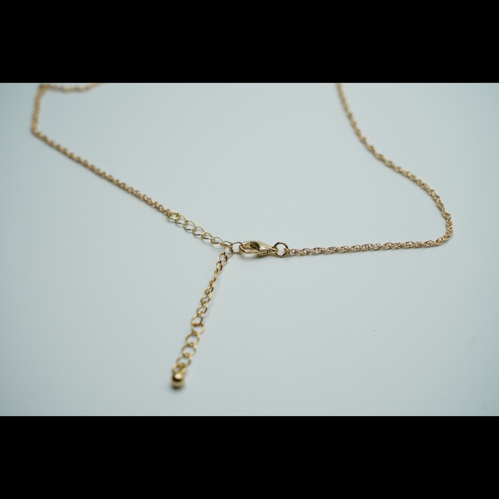Zodiac CAPRICORN coin necklace horoscope astrology - Picture 5 of 6